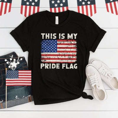 This Is My Pride Flag T-shirt
