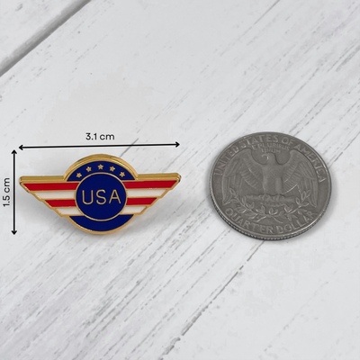 USA Wings Pin